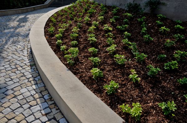 Retaining Wall Repair in Hayden