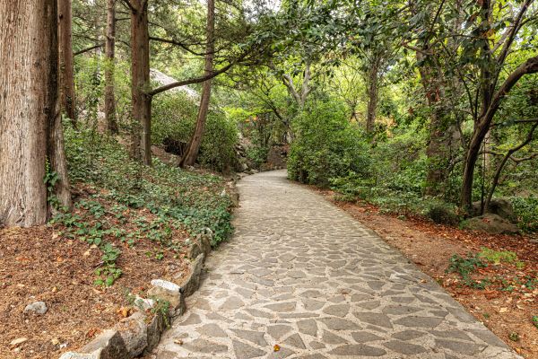 Stone Walkway Repair in Hayden