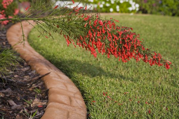 Brick Edging in Hayden