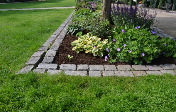 Stone Edging Installation in Hayden