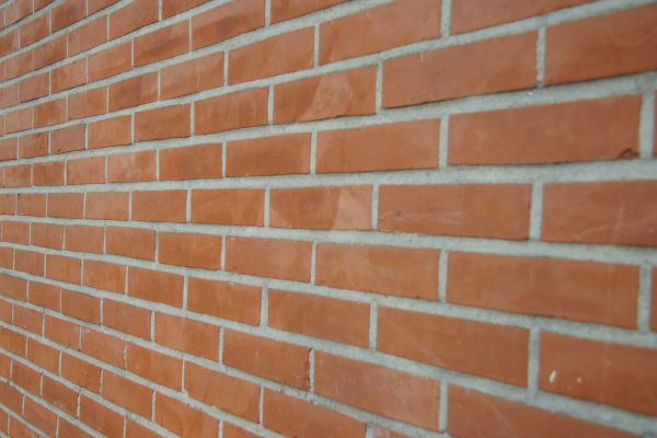Wall Repointing in Hayden