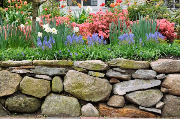Stone Wall Hardscaping in Hayden