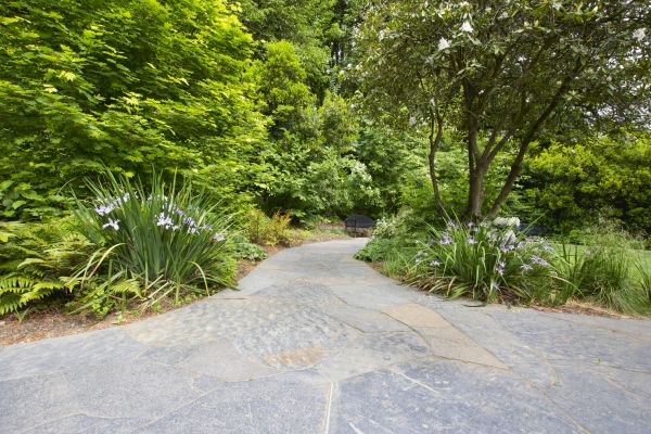 Stone Hardscape Service in Hayden