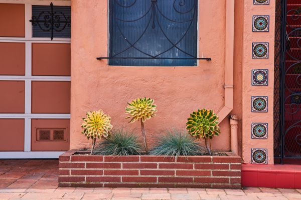 Brick Planter Installation in Hayden