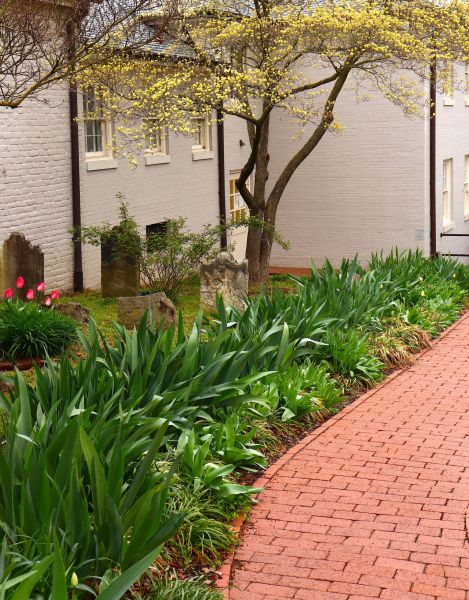 Brick Flatwork Repair in Hayden